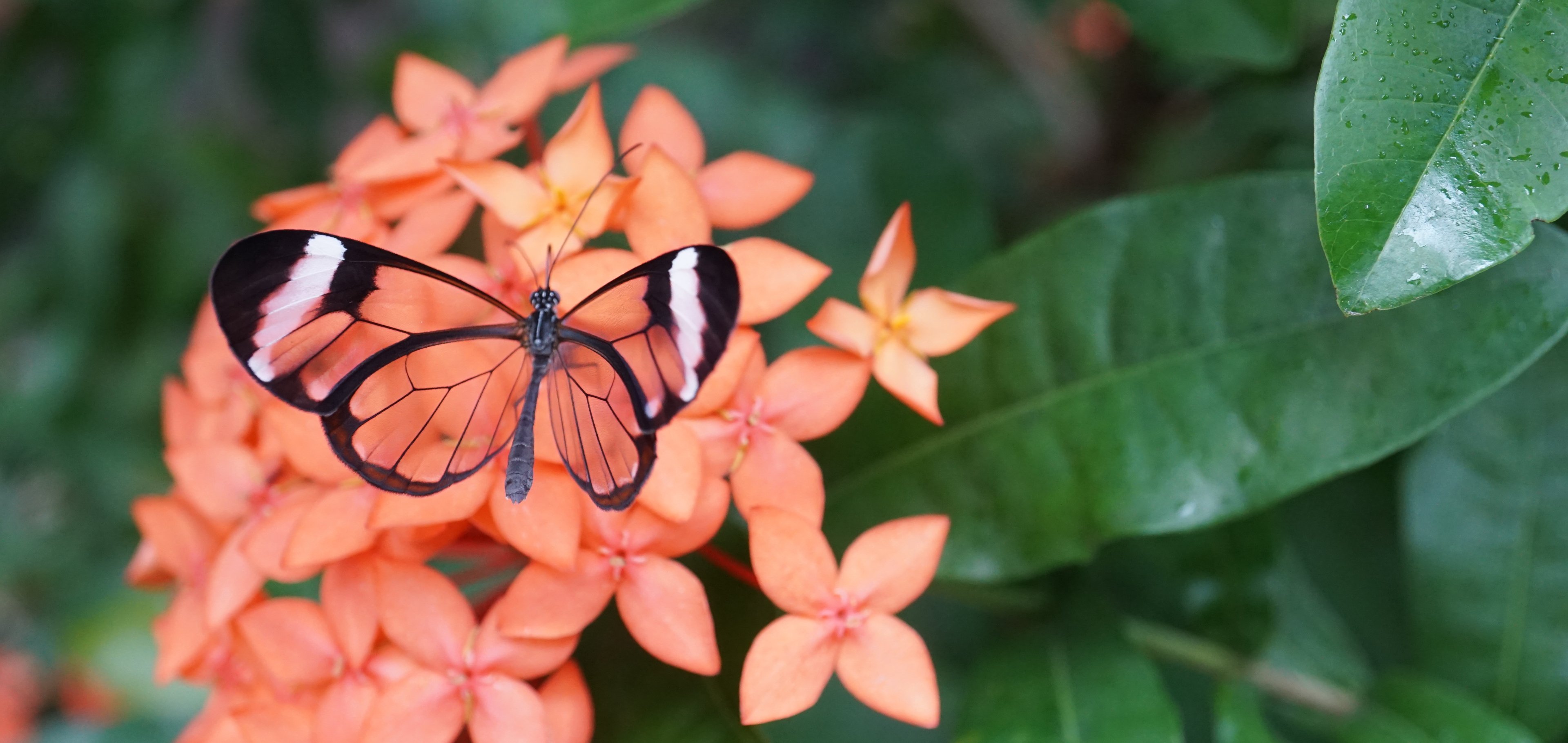 🌿 포츠담 생물권(비오스페어 포츠담)